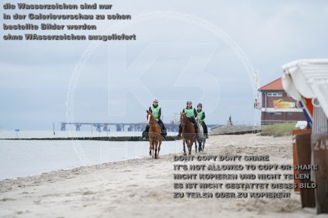 s_K3F04864.JPG